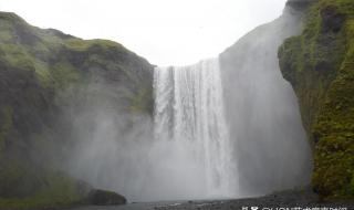 冰岛和挪威哪的三文鱼好 国产冰岛三文鱼来了